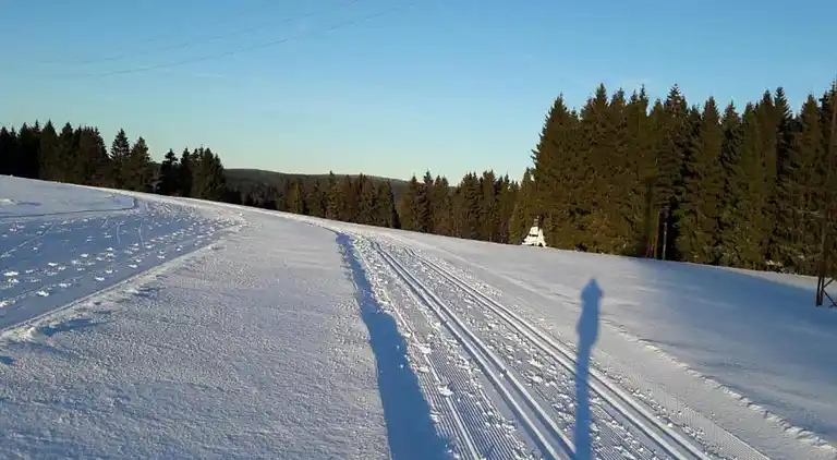 Ferielejlighed i Frauenwald