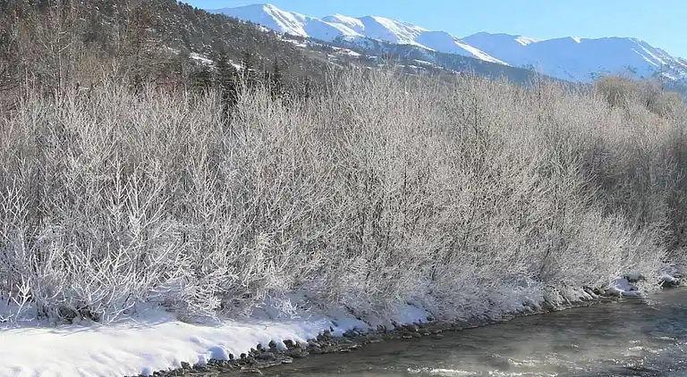 Apartment in La Salle-les-Alpes