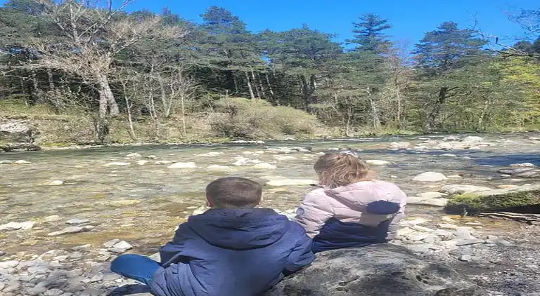 Apartment in Saint-Étienne-en-Dévoluy