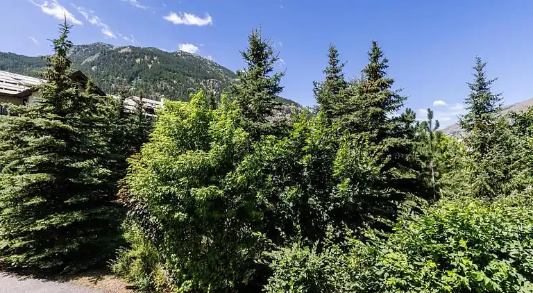 Apartment in La Salle-les-Alpes