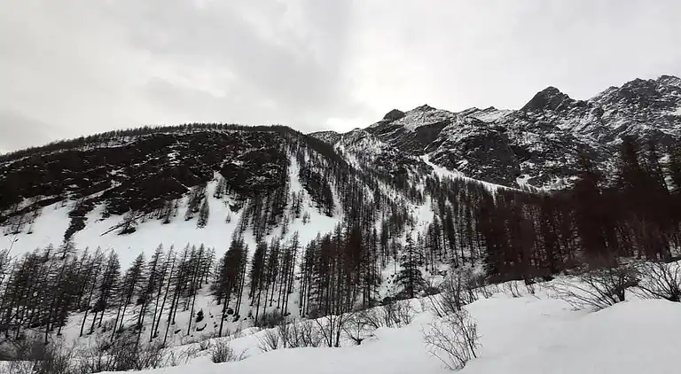 Apartment in La Salle-les-Alpes