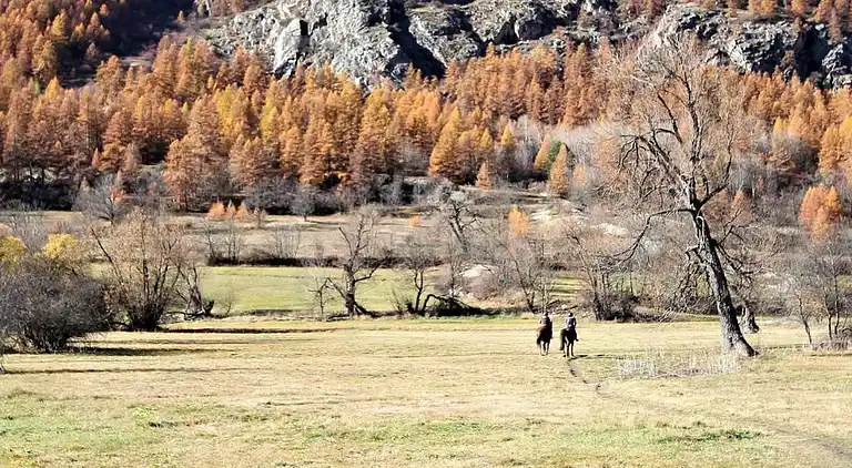 Apartment in La Salle-les-Alpes