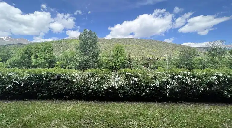 Apartment in La Salle-les-Alpes