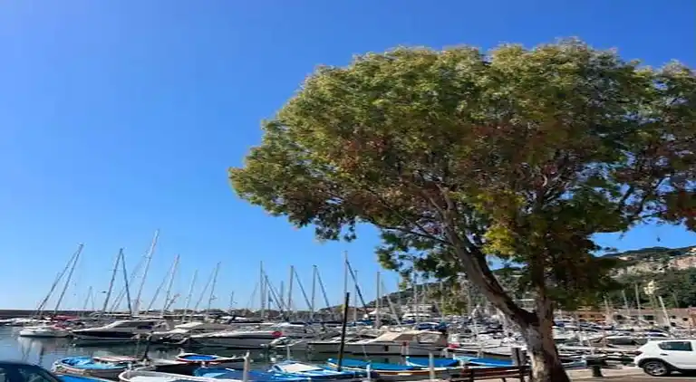 Ferienwohnung in Gambetta