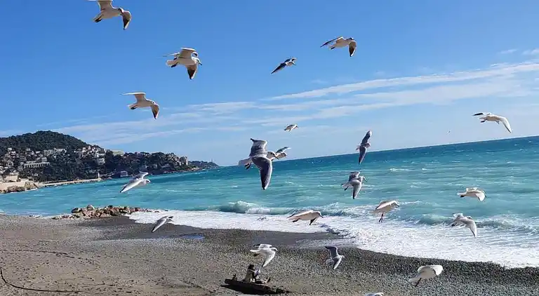 Ferienwohnung in Gambetta