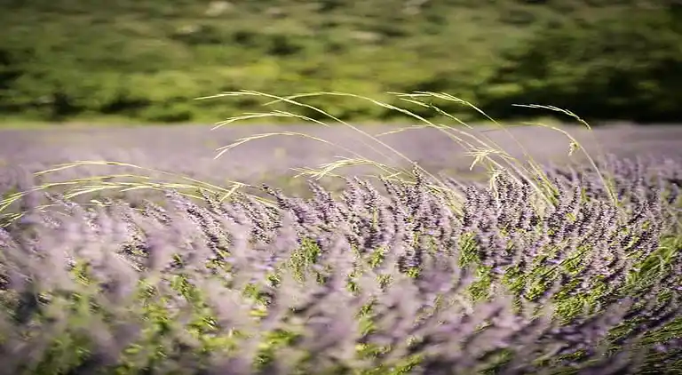 Lägenhet i Vallon-Pont-d'Arc