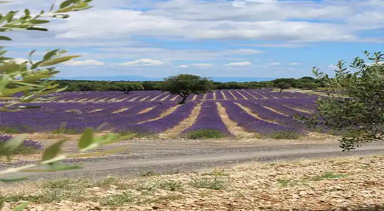 Lägenhet i Vallon-Pont-d'Arc