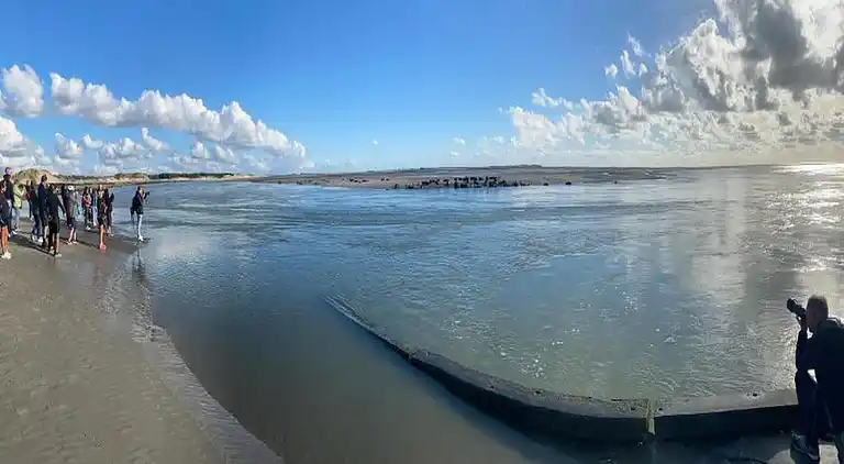 Sommerhus i Le Crotoy