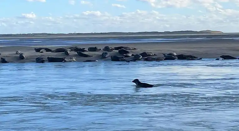 Sommerhus i Le Crotoy