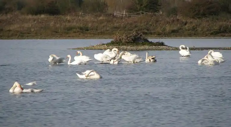 Sommerhus i Le Crotoy