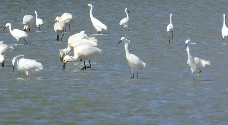 Sommerhus i Le Crotoy