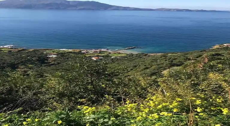 Apartment in Rodopos