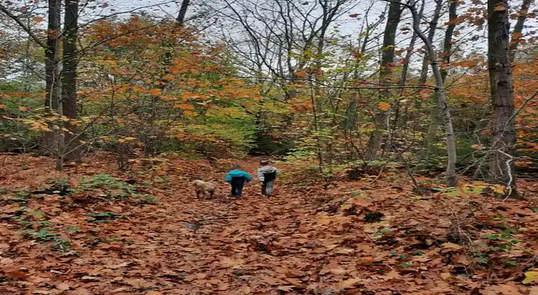 Holiday home in Vieuxville