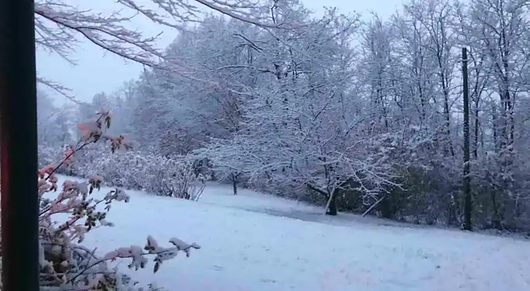 Ferielejlighed i Carpaneto Piacentino