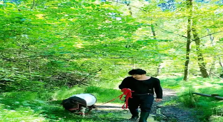 Ferielejlighed i Carpaneto Piacentino