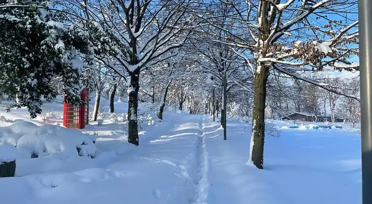 Ferielejlighed i Carpaneto Piacentino
