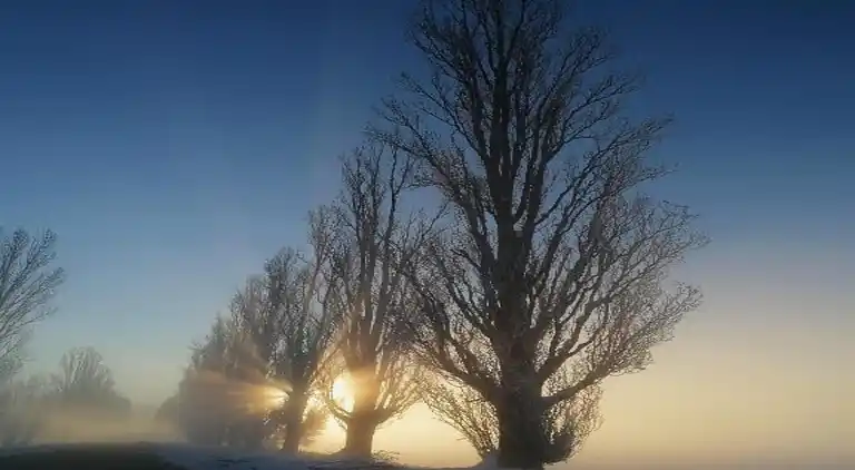 Ferielejlighed i Carpaneto Piacentino