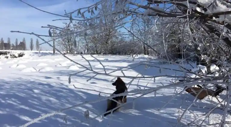 Ferielejlighed i Carpaneto Piacentino
