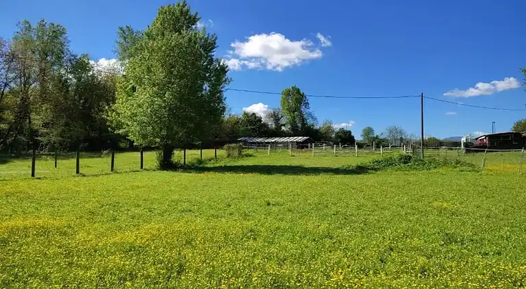 Ferielejlighed i Carpaneto Piacentino