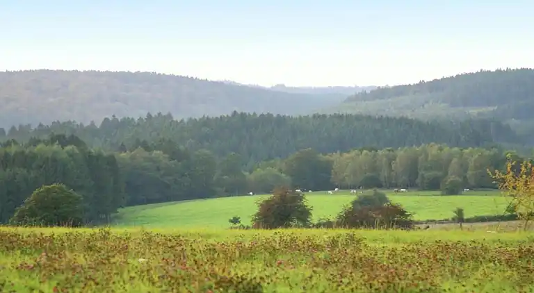 Ferielejlighed i Felenne