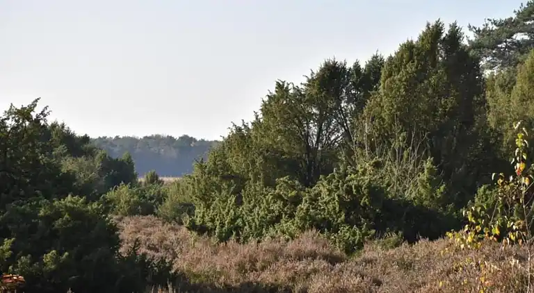Vakantiehuis in De Kiel