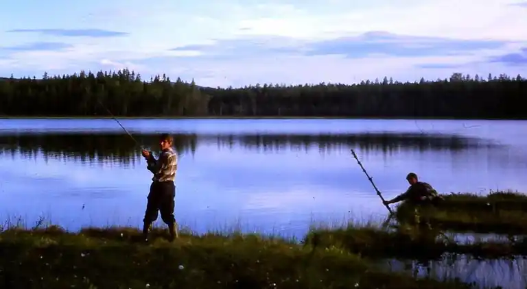 Sommerhus i Letafors