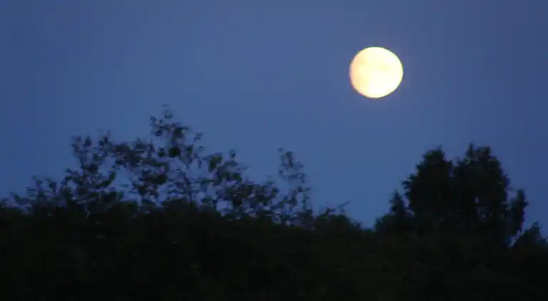 Sommerhus i Letafors