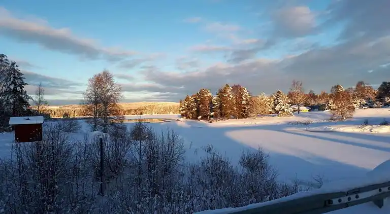Sommerhus i Letafors