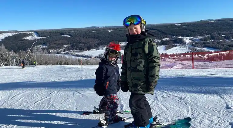 Sommerhus i Letafors