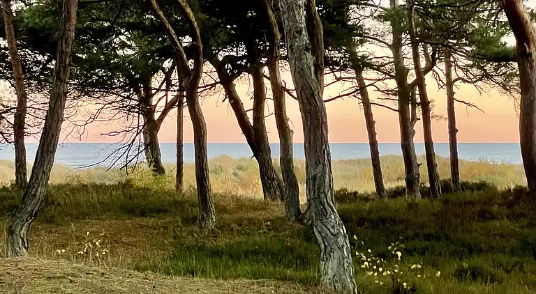Feriehus nær stranden – perfekt til afslapning
