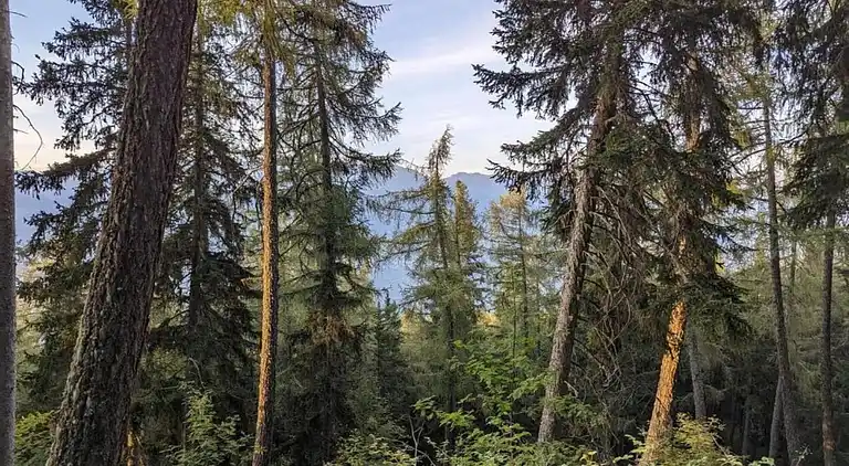 Hytte i Crans-Montana