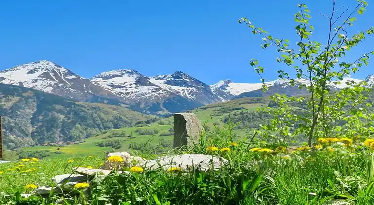 Ferielejlighed i Disentis