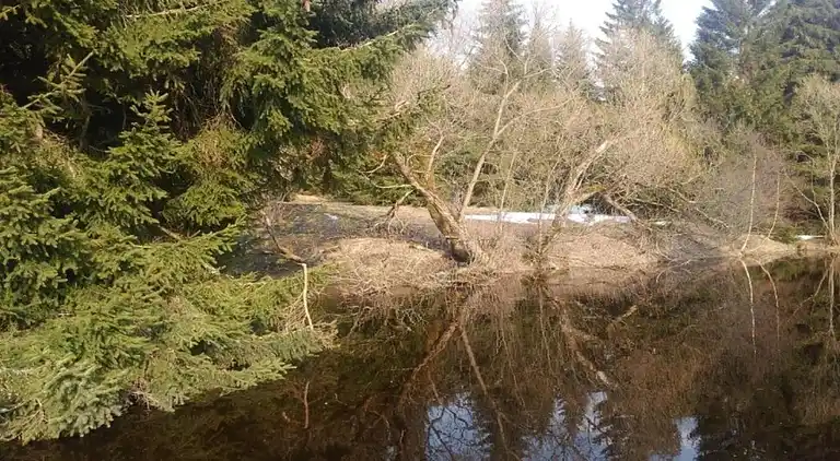 Holiday home in Abertamy