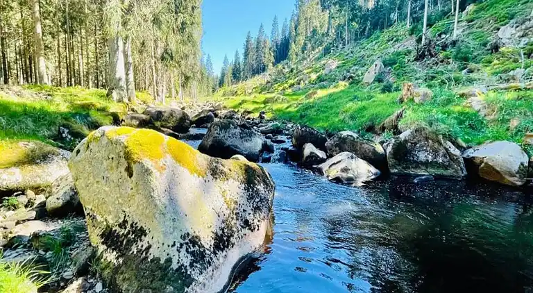 Holiday home in Abertamy