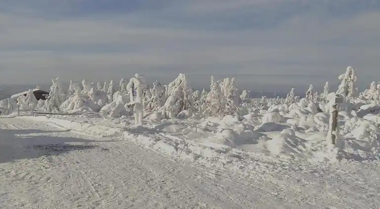 Holiday home in Abertamy