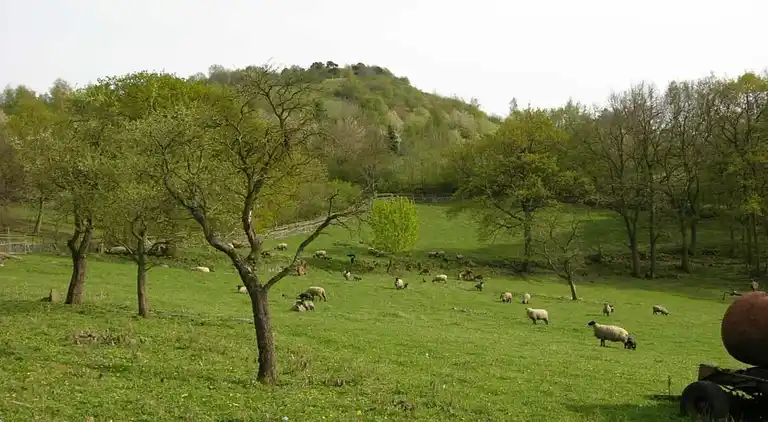 Gårdhus i Čeřeniště