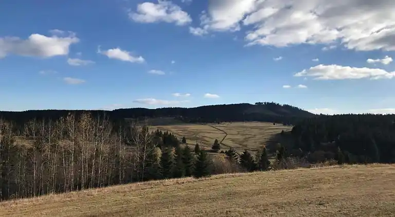 Holiday home in Abertamy