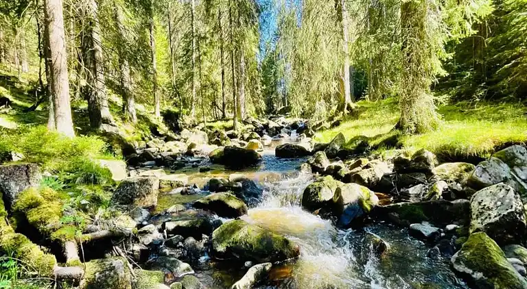 Holiday home in Abertamy