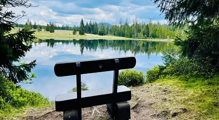 Holiday home in Abertamy