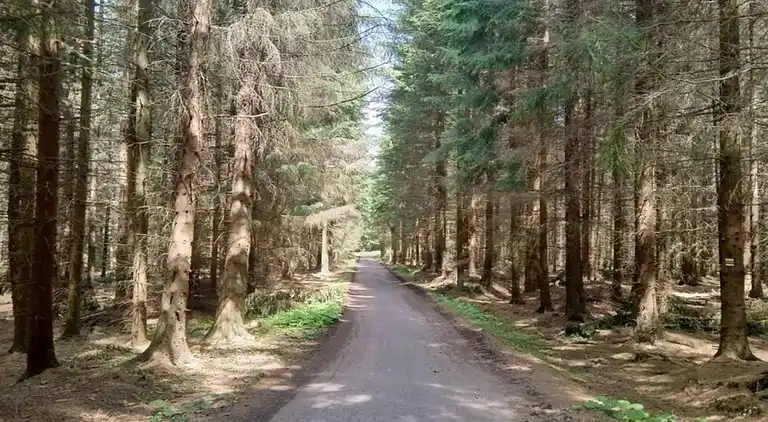 Semesterbostad i Nové Křečany