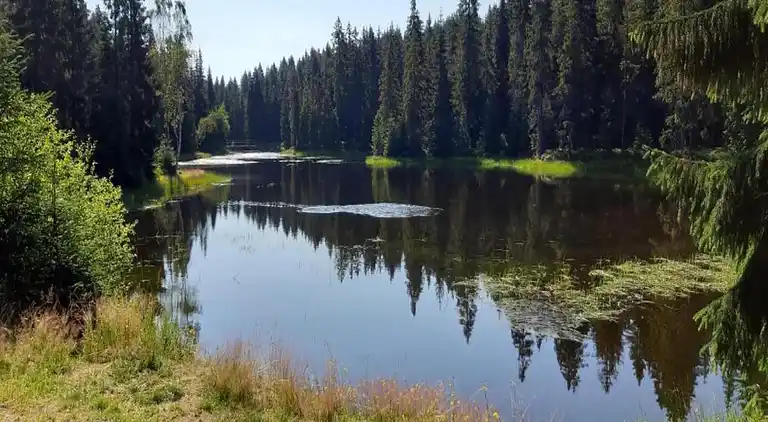 Semesterbostad i Rudolfov