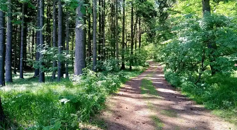 Semesterbostad i Nové Křečany