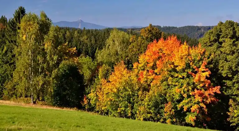 Semesterbostad i Rudolfov