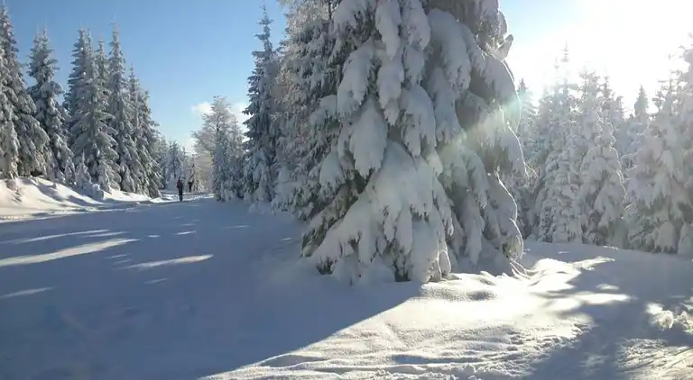 Semesterbostad i Rudolfov