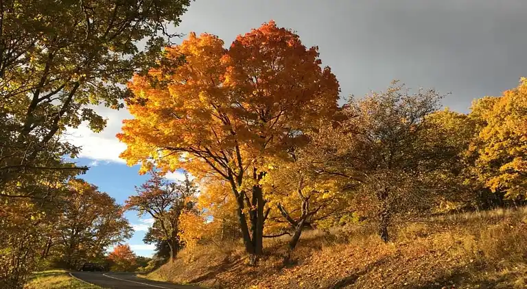 Sommerhus i Mezihoří
