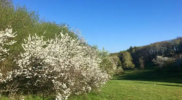 Sommerhus i Mezihoří