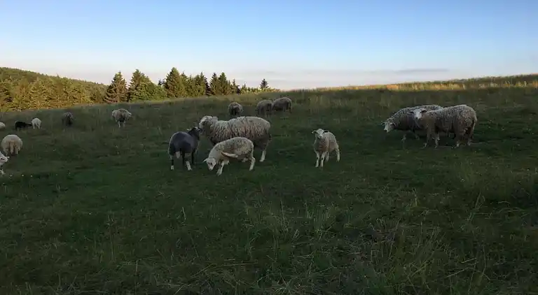 Sommerhus i Mezihoří