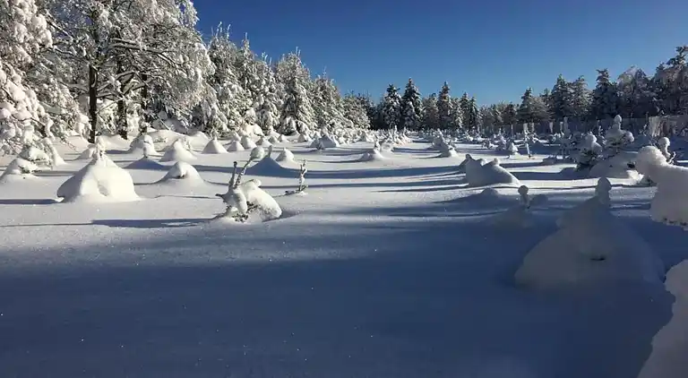 Sommerhus i Mezihoří