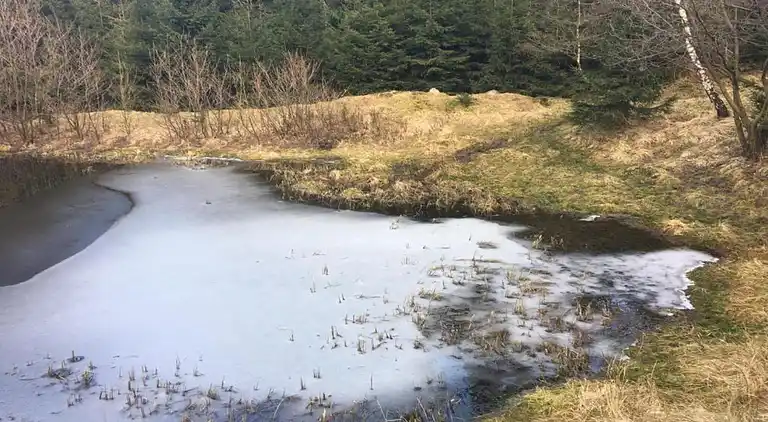 Sommerhus i Mezihoří