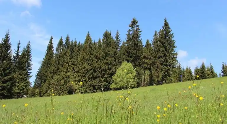 Semesterbostad i Rudolfov